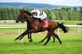 Eastwatch 3yo Gelding